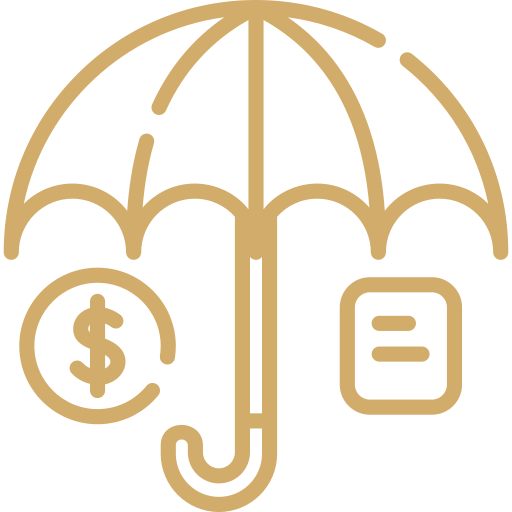 持有牌照和保险，提供乘客保险